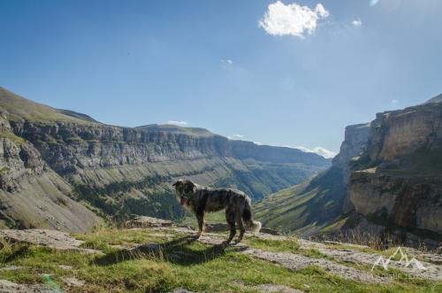 Spain, Ordesa y Monte Perdido National Park