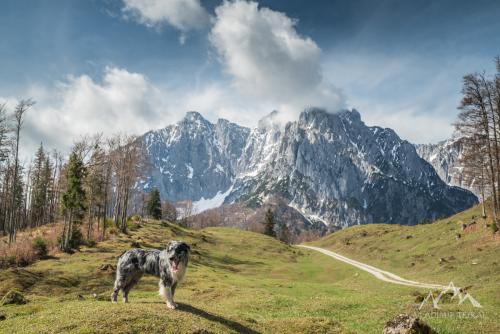 Austria, Schwednt, Schneebichl (1470 m)