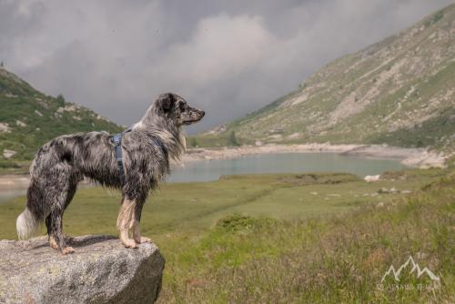 Italy, national park dell'Adamello, Lago di Salarno