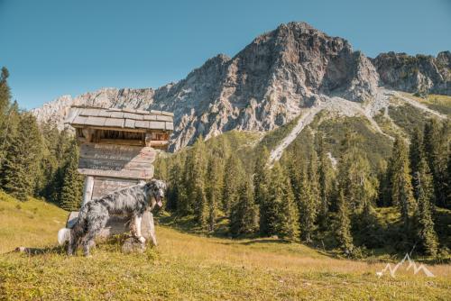 Italy, Ampezzo, Ricovero Casera Tintina