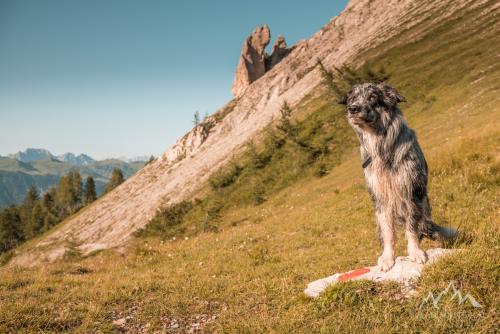 Italy, Ampezzo, Forca di Montof (1822 m)