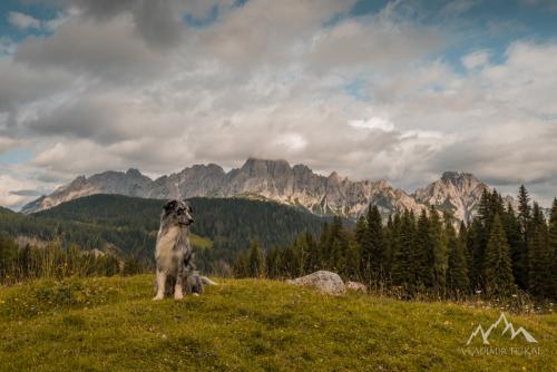 Italy, Vigo di Cadore, Sella di Razzo (1760 m)