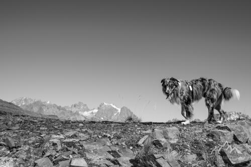 France, Puy-Saint-Vincent, col du Bal (2601 m)