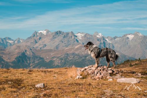 France, Col du Granon (2413 m)