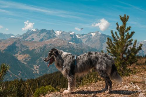 France, Col du Granon (2413 m)