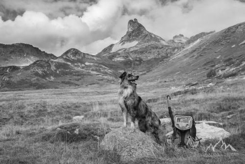 France, Nevache, Vallon du Diner